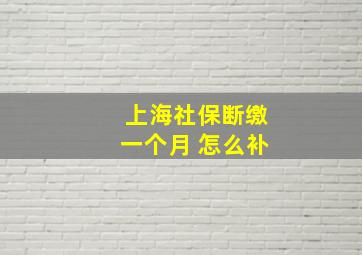 上海社保断缴一个月 怎么补